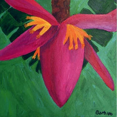 Banana Flower