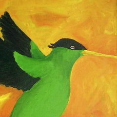 Doctor Bird