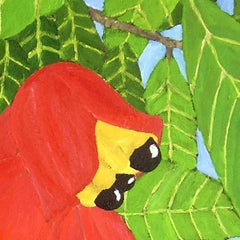 Ackee