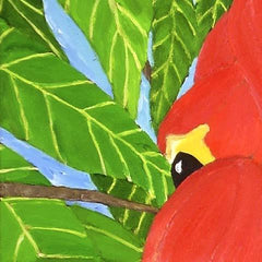 Ackee