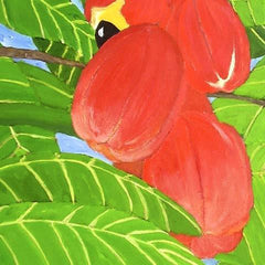 Ackee