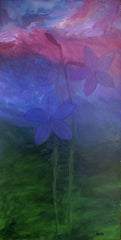 Flowers and Sky