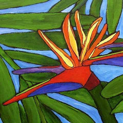 Bird of Paradise