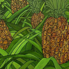 Pineapple Fields